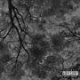 roots n leaves (feat. 4drian & Toryon) [Explicit]