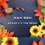 Nah Seh (feat. The Gemm)