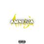 AMNESIA (Explicit)