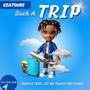 SUCH A TRIP (Explicit)