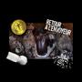 RETOUR À L'ENVOYEUR (Explicit)