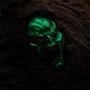 OSBORN (Explicit)