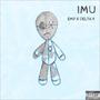 IMU (Explicit)