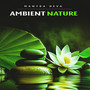 Ambient Nature