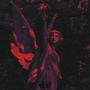 Broken wings (Explicit)