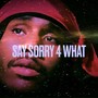 Say Sorry 4 What