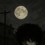 HAVONA (Explicit)