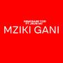 Mziki Gani (feat. Jeusi Mc)