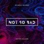 Not So Bad (Ricardo Geldres Remix Radio Edit)