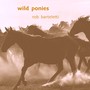 Wild Ponies