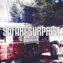 Safari Surprise