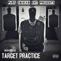 TARGET PRACTICE (Explicit)