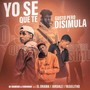 Yo Se Que Te Gusto Pero Disimula (Explicit)