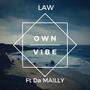 Own Vibe (Explicit)