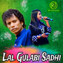 Lal Gulabi Sadhi