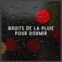 Bruits de la Pluie pour Dormir