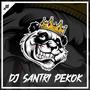 DJ Santri Pekok