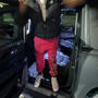 Black truck (Explicit)