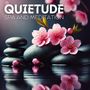 Quietude (Shakuhachi for Spa and Meditation, Reiki Reflections)