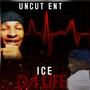 DA LIFE (Explicit)