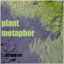Plant Metaphor