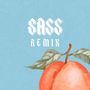 Sa$$ (Remix) [Explicit]