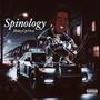 Spinology (Explicit)