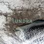 Tundra