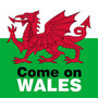 Come on Wales