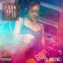 I Can Feel It (Explicit)