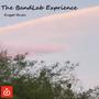 The Bandlab Exprience (Explicit)