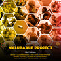 Nalubaale Project