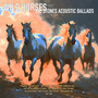 Wild Horses- The Stones Acoustic Ballads