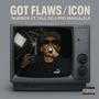 Got Flaws/Icon (feat. Tale OG & Pro Mahlalela) [Explicit]
