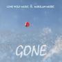 Gone (Instrumental mix)