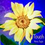 Touch