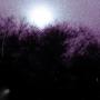 Surely Be The Night