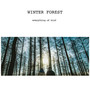 Winter Forest