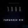 3000 (Explicit)