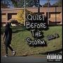 Quiet Before The Storm, Vol. 2 (Explicit)