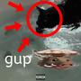 gup (Versions) [Explicit]