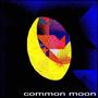 Common Moon (feat. Holeminer)