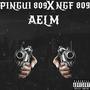 AELM (feat. NGF809 & Pingui809) [Explicit]