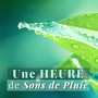 Une Heure de Sons de Pluie - Sons de la nature relaxante, bruit blanc pur pour sommeil profond