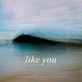 Like You