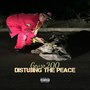 Disturbing The Peace