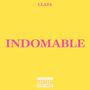 INDOMABLE (feat. 2000marks)