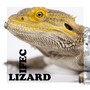 Lizard