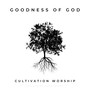 Goodness of God