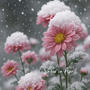 Snow in April